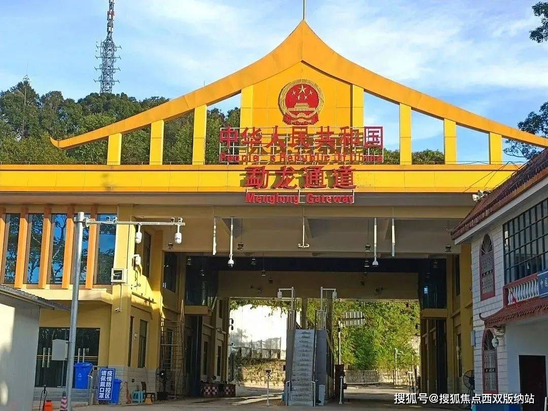 景洪市勐龙口岸经济区:努力把"通道"好牌打成发展王牌_进口_中药材_农