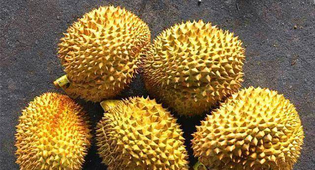 买榴莲时,别只会捏刺尖,水果店老板:看准果型,就能挑到好榴莲_的特点