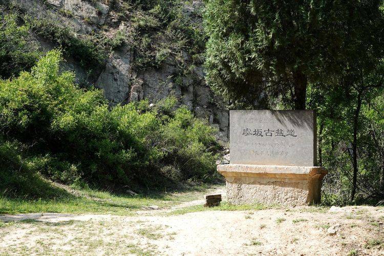 虞坂古盐道_山西省运城市_时期_伯乐