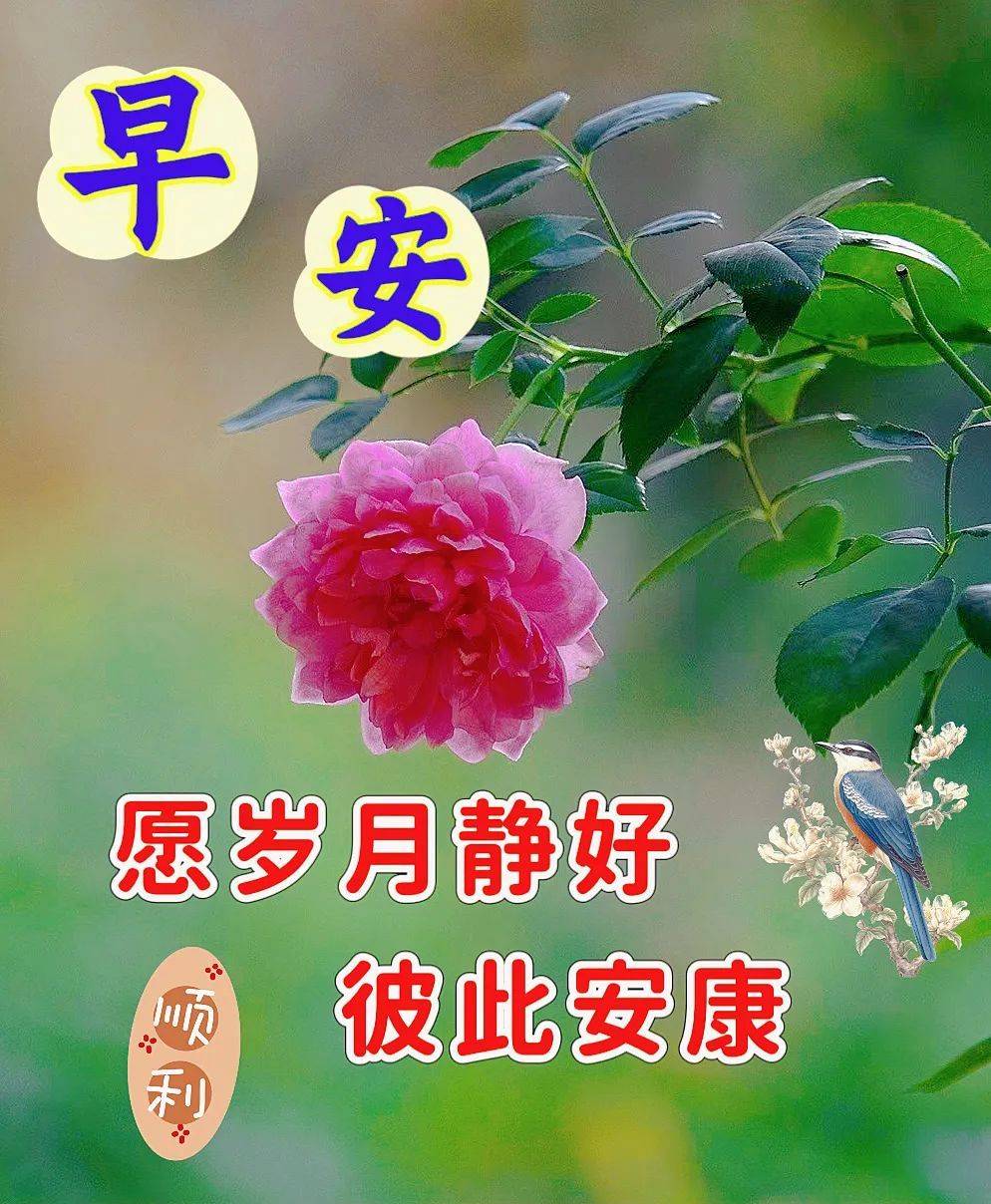 6月8日周四早上好-最新早安漂亮图片祝福_阳光_平安_问候