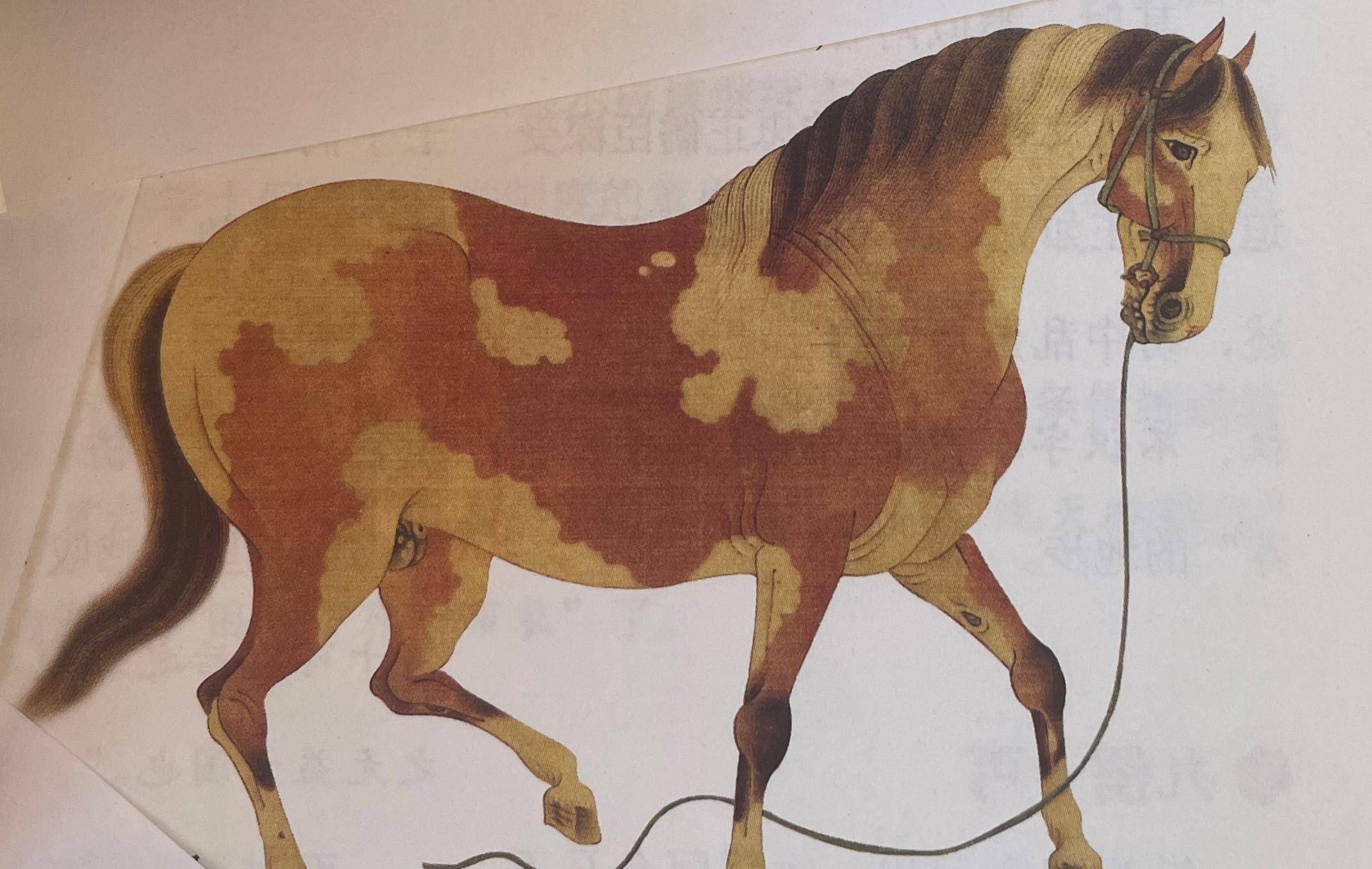 元代知识分子的悲鸣_阿合马_元朝_马缰绳