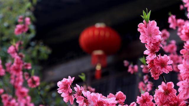 淡定生活唯美句子_淡定的生活_淡定看生活