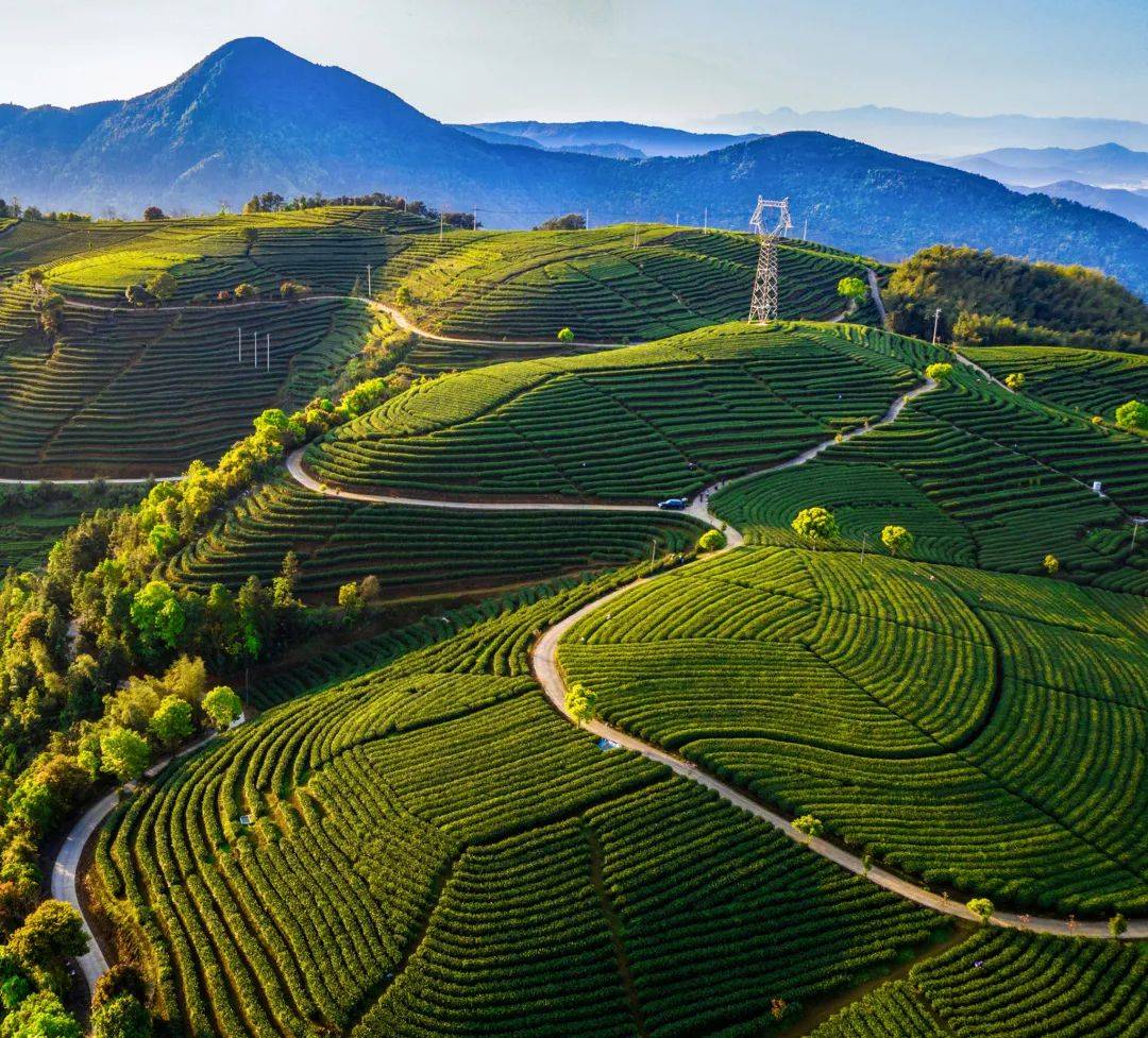 希少 旅順焼 七言詩入 混入松樹山之土 蓋付茶器 珍品-