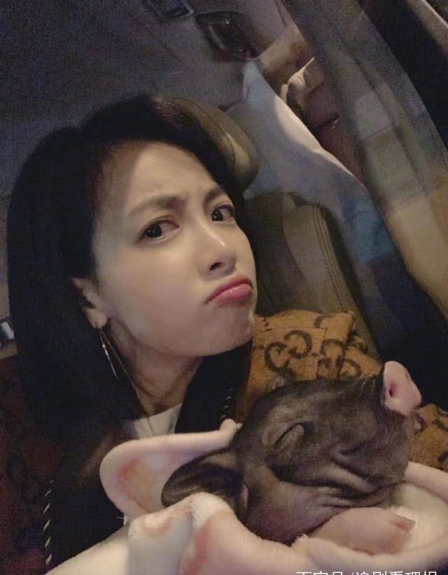 热巴宋茜手牵手上厕所,张钧甯带头引路很暖,陈伟霆炸毛造型搞笑_活动