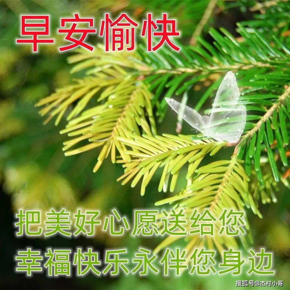 原创            6月7日最新早上好图片精选 早上好图片鲜花带字问候-2021年6月早上好动画表情
