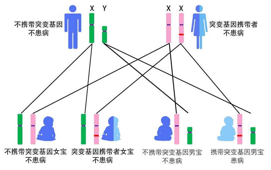 白化病遗传系谱图图片