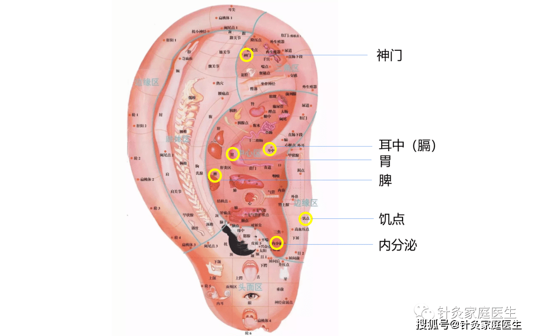 耳穴压豆疗法