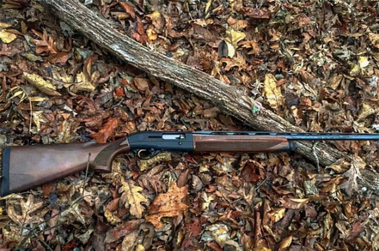 劳教出来后,村里来了个猎人,手上有一把猎枪,他总是有事没事往猎人家