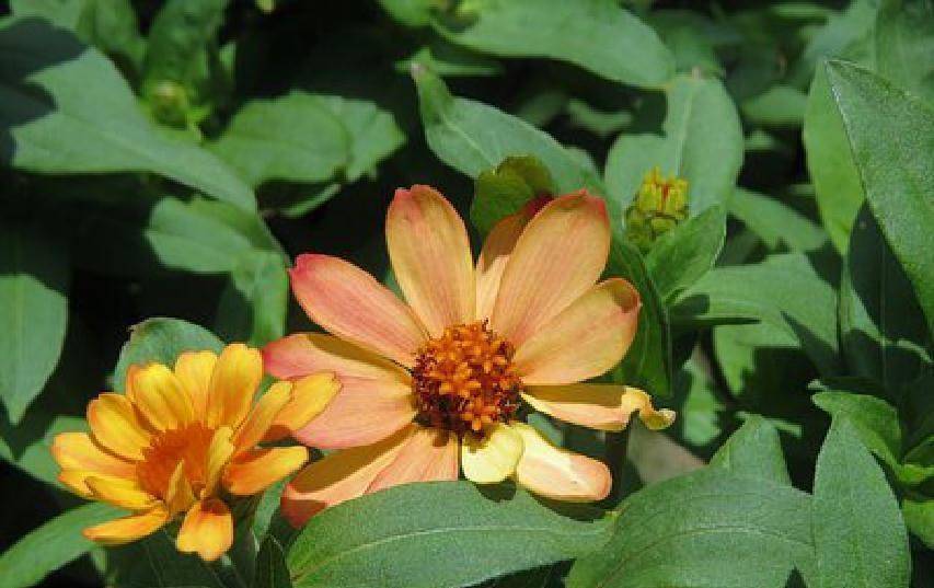 唯美有内涵的说说短语,睿智深刻,引人深思_生活_一个人_都会