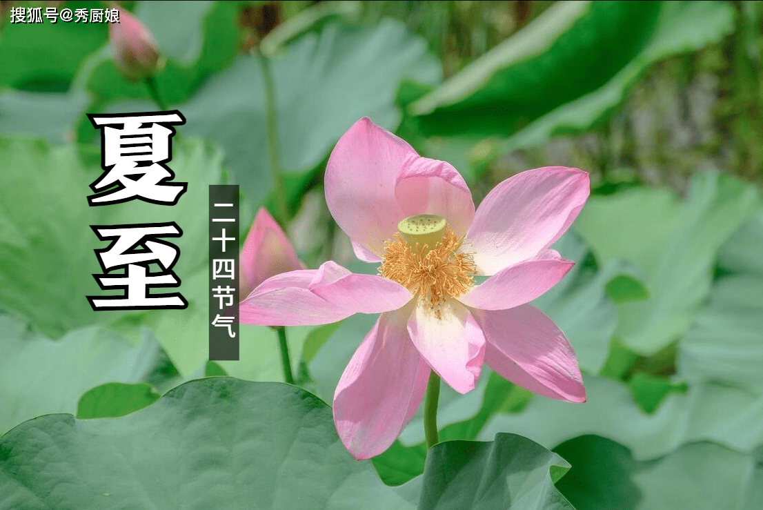 原创            6月21日夏至，俗话说：“夏至不下雨，寡妇把身许”，是啥意思？-夏至要下雨吗