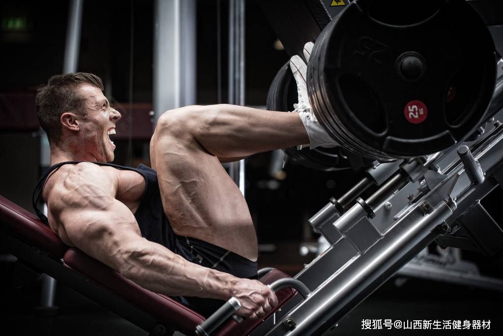 增强腿部力量的训练动作:打造健壮有力的腿部肌肉_大腿_身体_体育