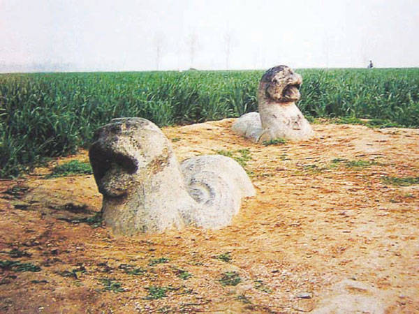 沂南青驼镇历史_山东省_怪兽_李英