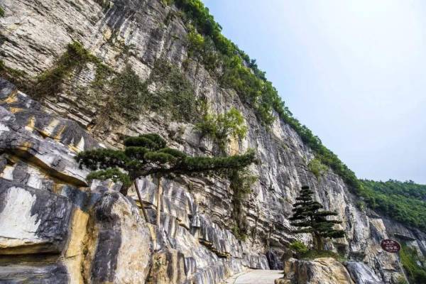 一起到贵州云门囤景区感受山水风光吧_文化_画廊_鸳鸯