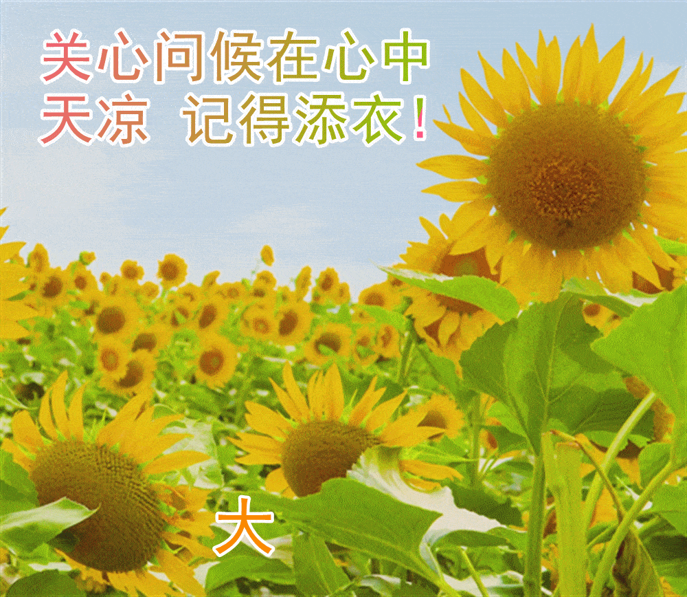 原创            超漂亮早上好表情图片带鲜花 2023最新版早上好动态表情图片-早上好鲜花动态表情