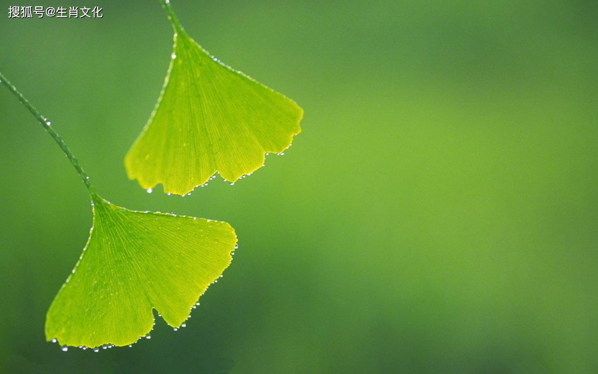 7月哪些生肖好运不离身,财神护航,喜事频遇,赚大钱只进不出_财富_事业