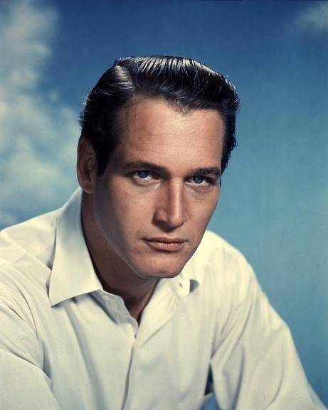 除了加里·格兰特和洛克赫德森那样的典型绅士定位的明星外,大制片厂