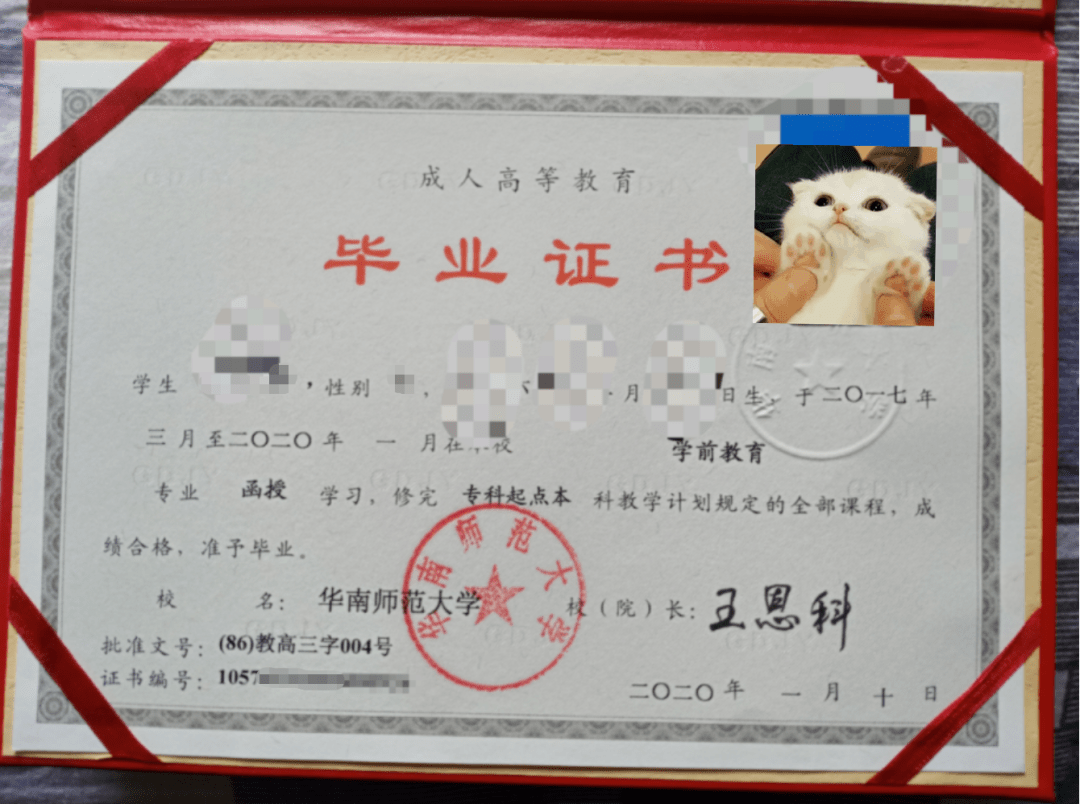 函授大专档案有学位证书吗 来自搜狐网
