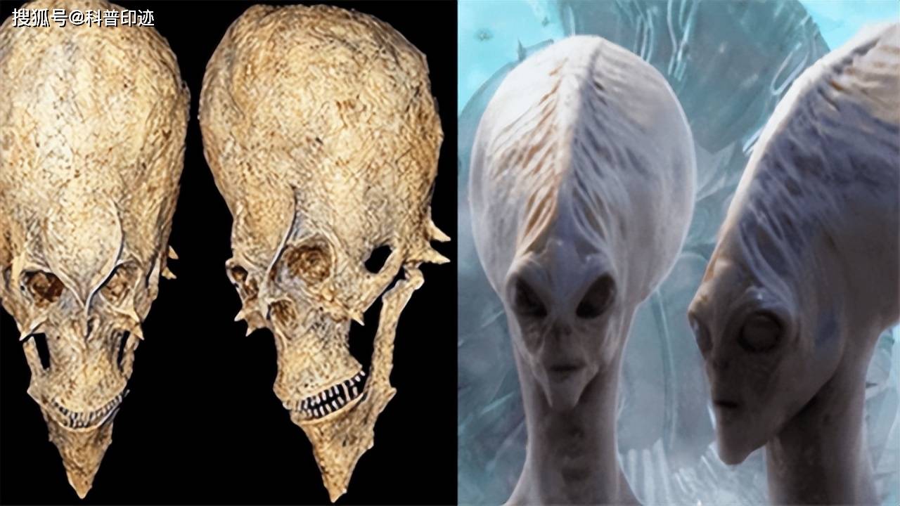 他们在尼日利亚发现了一颗外星人头骨,这可能改变我们所知的历史_人类