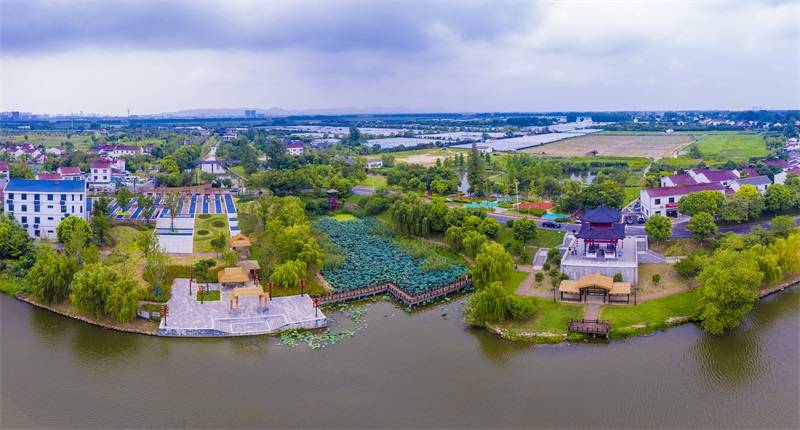 南京盘城街道:聚力改革创新"双轮驱动",打造葡萄产业"盘城样板"_发展