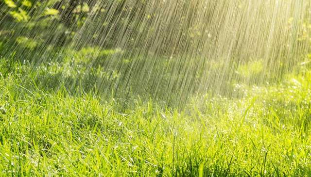 原创            今天夏至，老人说“夏至逢端午，必定是荒年”，啥意思？有啥讲究-夏至是节气吗