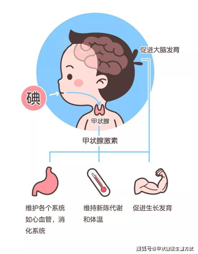 如果有这些症状表现,可能甲减已经找上门!_甲状腺_患者_临床