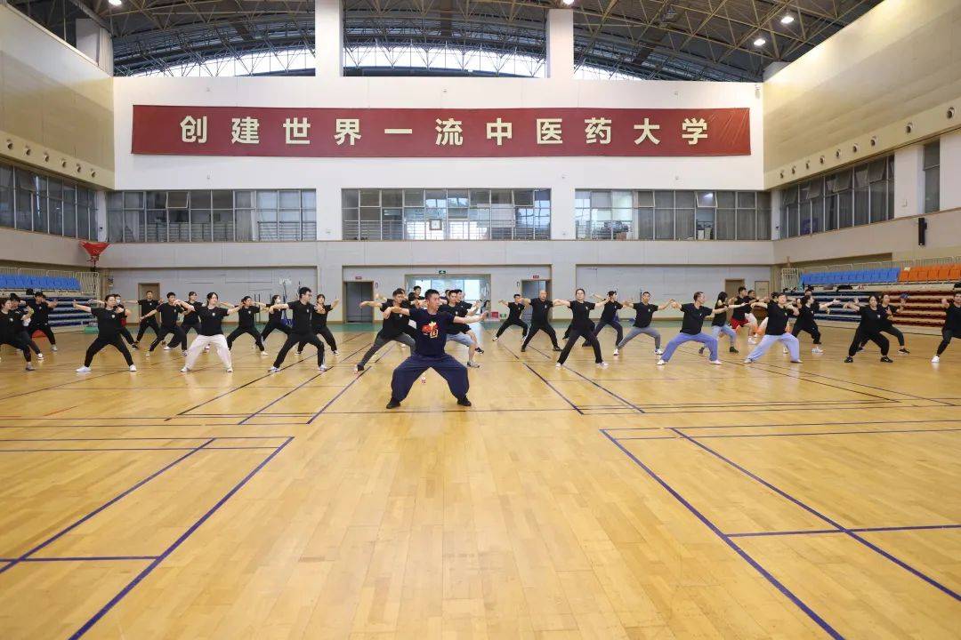 龙身蛇形太极拳教练团2023年上海市学校武术五禽戏师资培训班教学