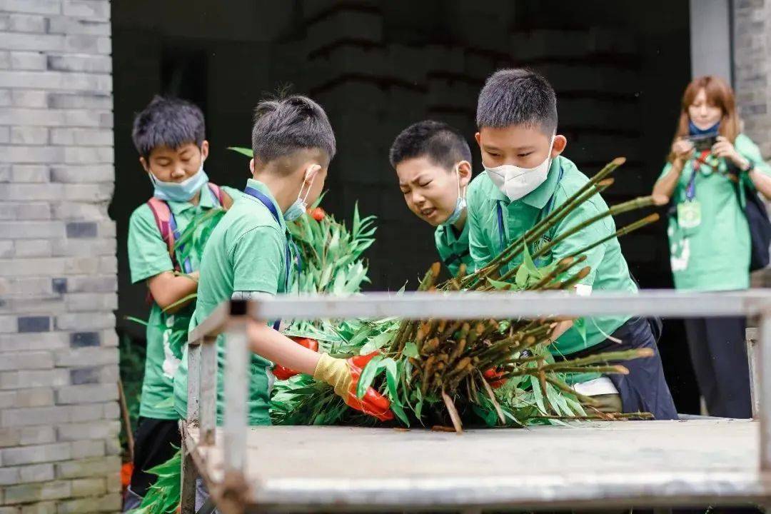 暑假研学 | 国宝守护者大熊猫科考夏令营，招募铲屎官，领取3张证书和科考报告