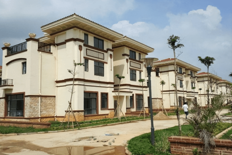 北大才子陈生:花2亿建138套别墅,无偿送给乡亲,今却不敢回老家_村民