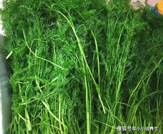 春天吃点排毒菜,月经按时来,体重减轻了,淡斑补水