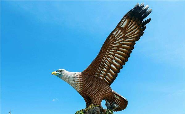 世界上最凶的鸟,就连狮子老虎见了都害怕,堪称空中"杀手"!