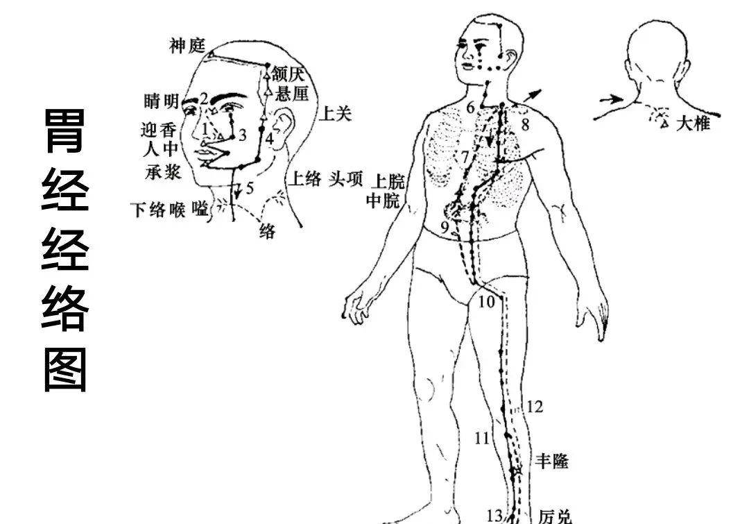 51岁黎姿近照曝光,变化巨大,网友惊呼:这13年来,你也整了吗_经络_身体