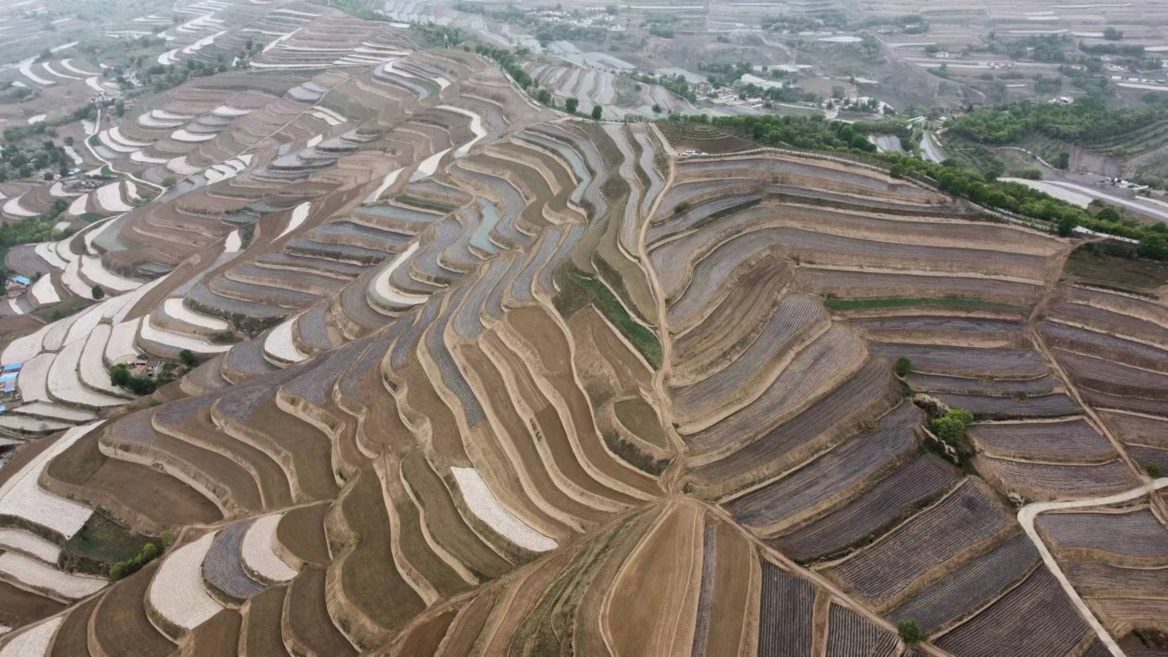 甘肅定西:旱塬正在變良田_農田_變化_建設