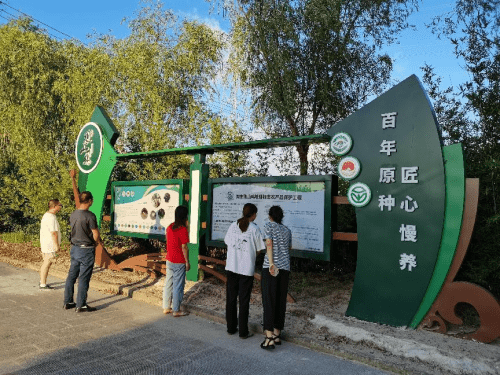如东狼山鸡 (图2)
