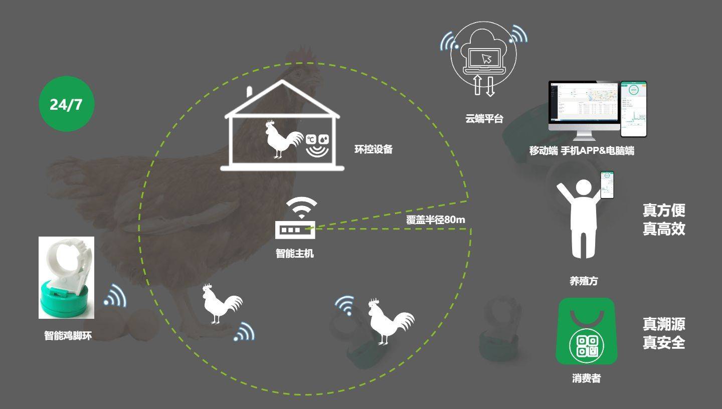 功能_销售_状态