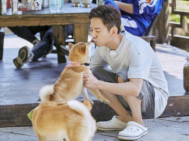 何炅收礼被批评,应援礼物全部用在公益上,本人也道歉了_节目_的发展