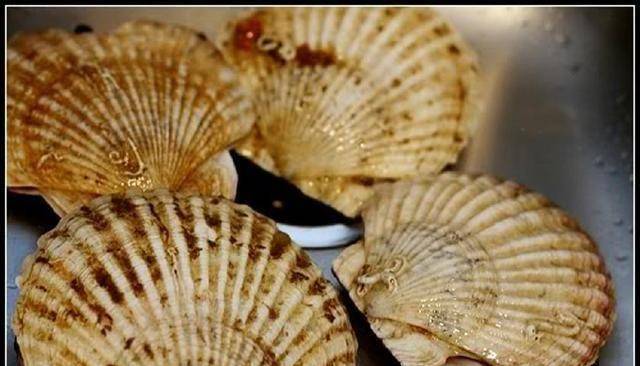 扇贝_方法_一面