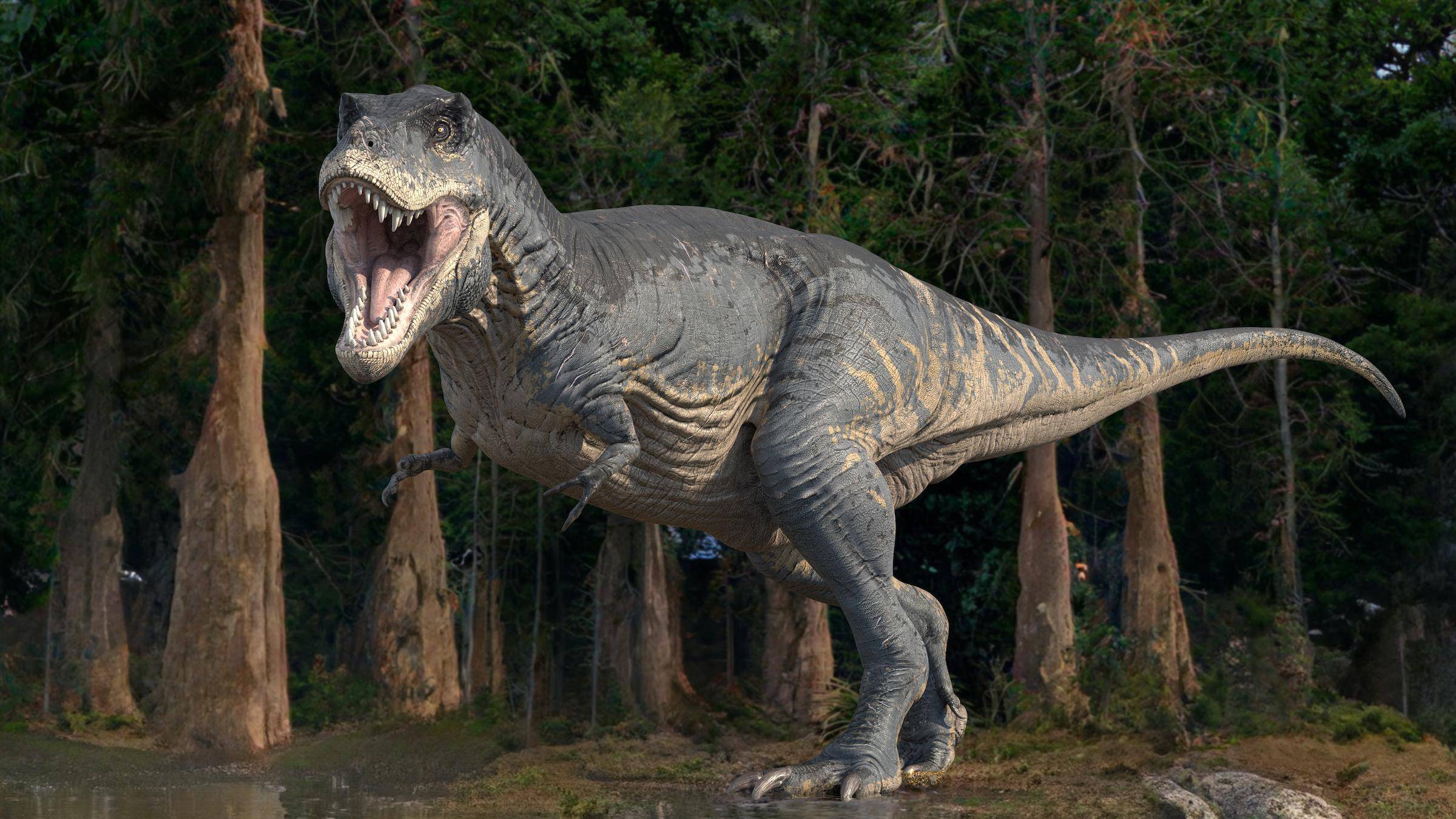 霸王龙并不是唯一一个与身体其他部分相比手臂较小的恐龙;它的许多