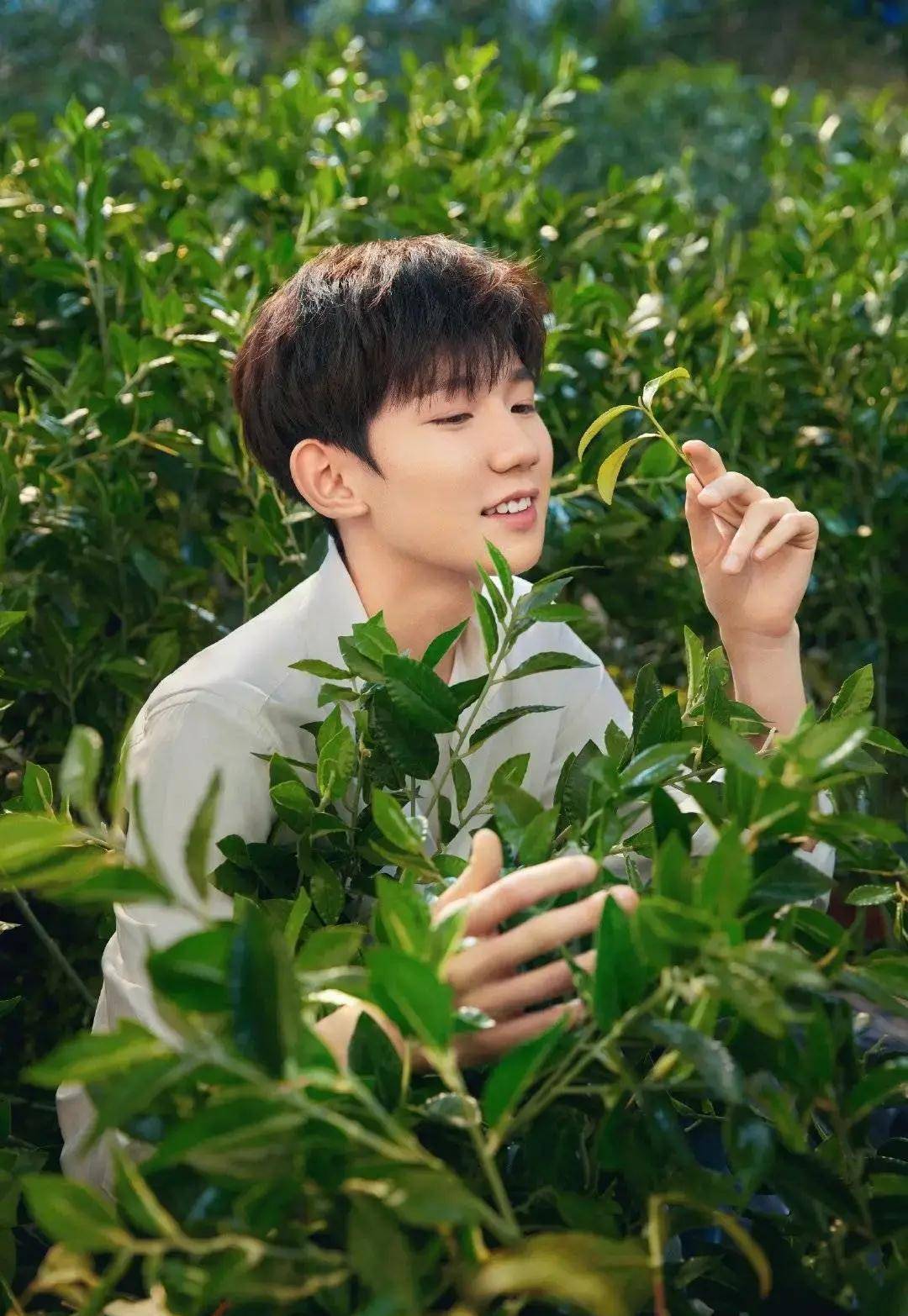 王源皮肤天然洁净形象纯粹明朗不愧为fresh的品牌代言人