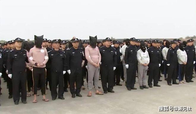 为何缅北诈骗屡禁不止?_移动公司_团伙_现金