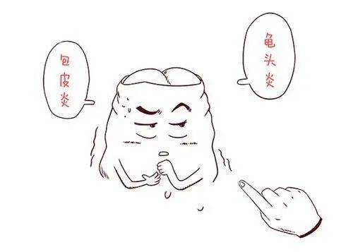 男性生殖系统威胁五大炎症,夏日保护攻略大公开!_症状_包皮_附睾