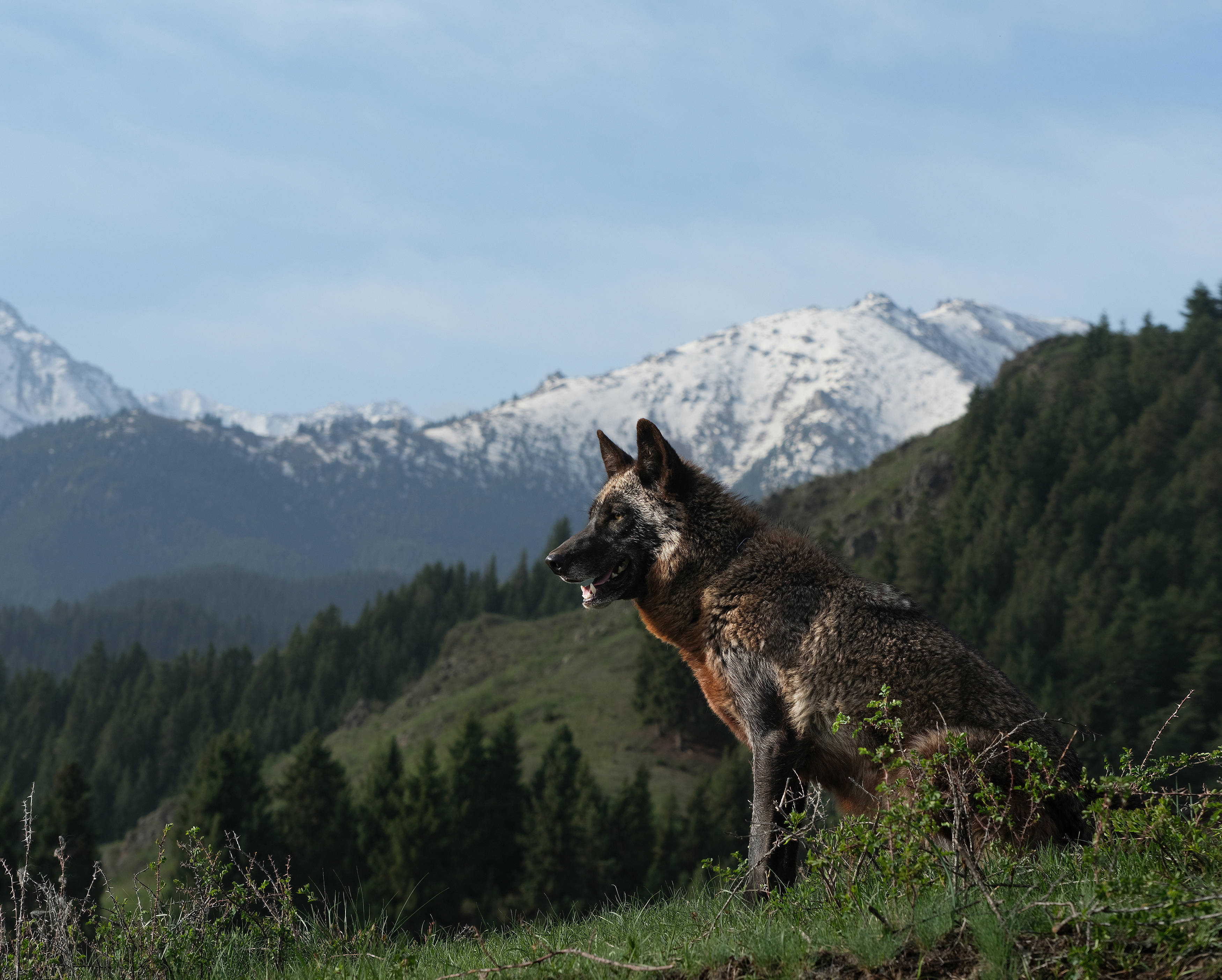 野狼谷景区风景如画_古道_长生_视频