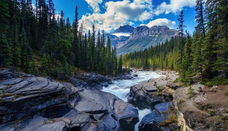 让经销商推高卖精,家电企业不能简单粗暴走极端-家电圈官网