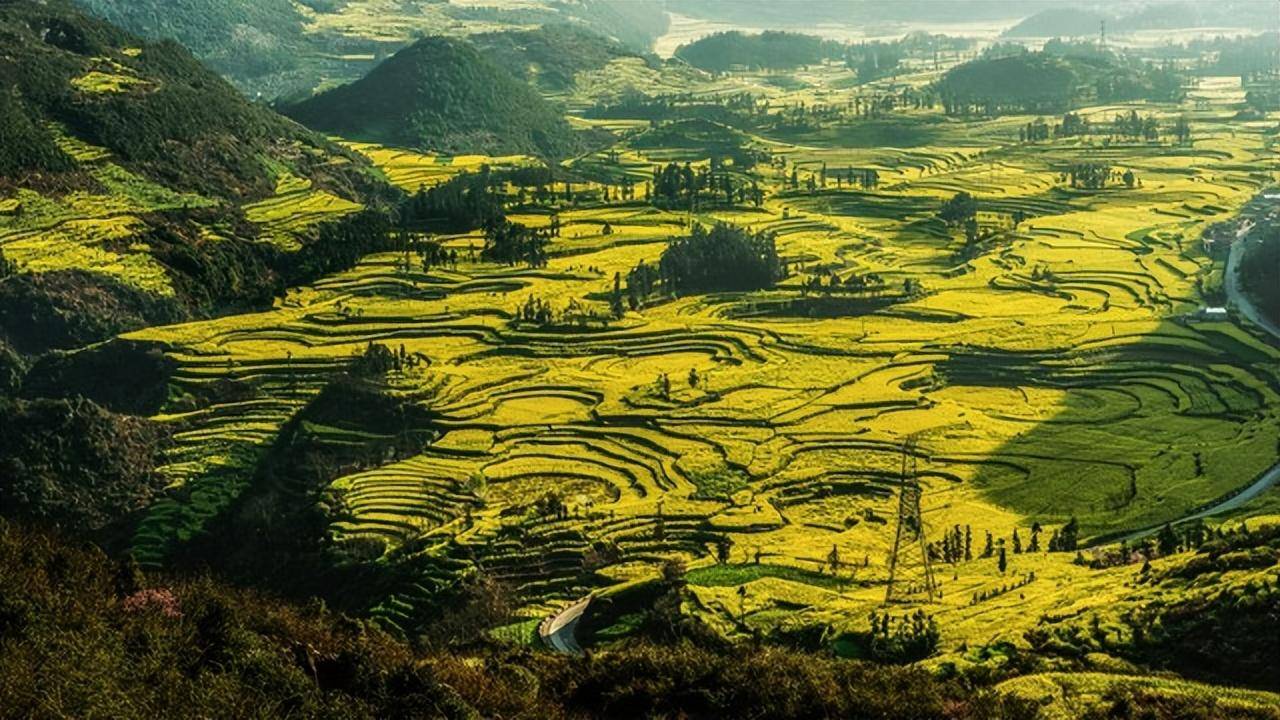 在武鋼三中,武昌水果湖中學讀過書,在湖北省鍾祥市東橋鎮團山村當過