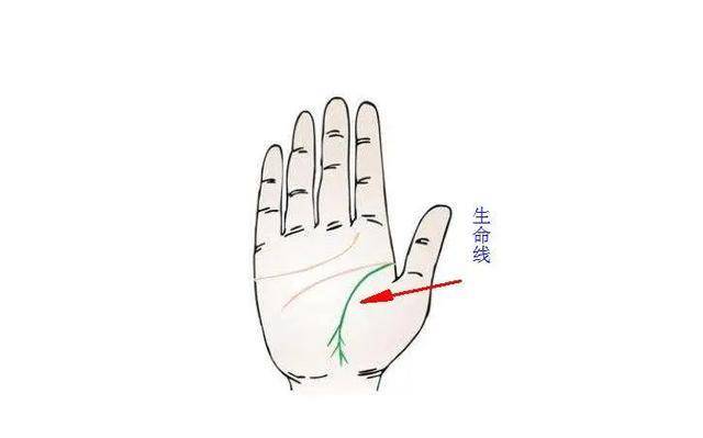 "手握悬鱼纹,龙虎榜上人","悬鱼纹"是啥?真的能上龙虎榜?