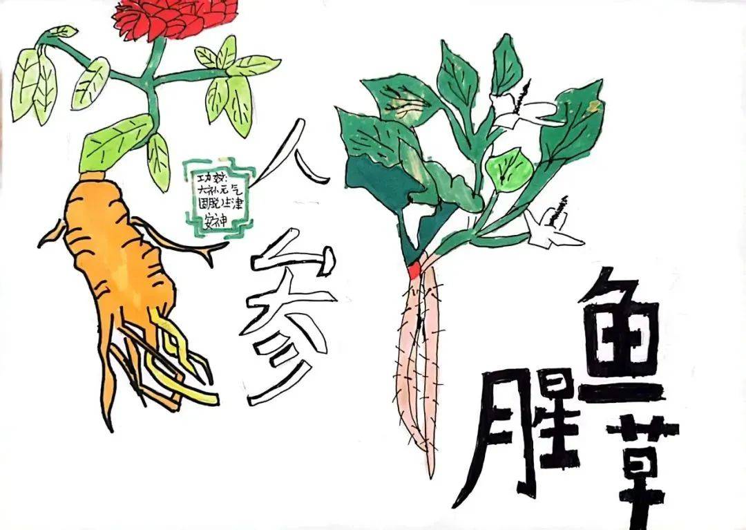 青岛市城阳区各学校开展"中医药文化进校园"活动_百草_画笔_种子