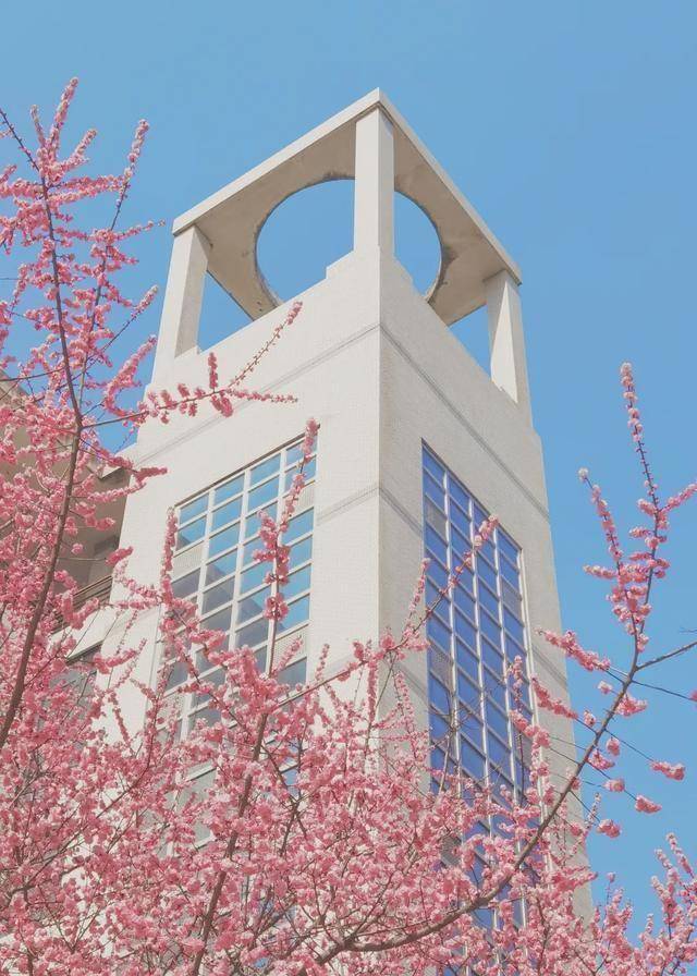 图:西安外国语大学官微长安大学恍若柳絮轻抚脸颊的温柔又似清风吹动