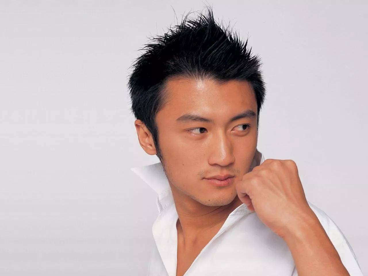 制作人,主持人,青年企业家谢霆锋(nicholas tse,1980年1月29日-),祖籍