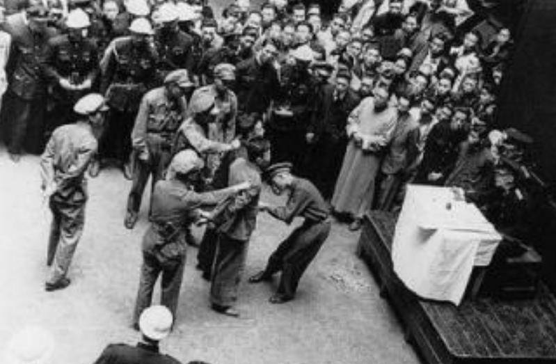 新中国第一位女将军,无儿无女晚景凄凉,却抚养了2