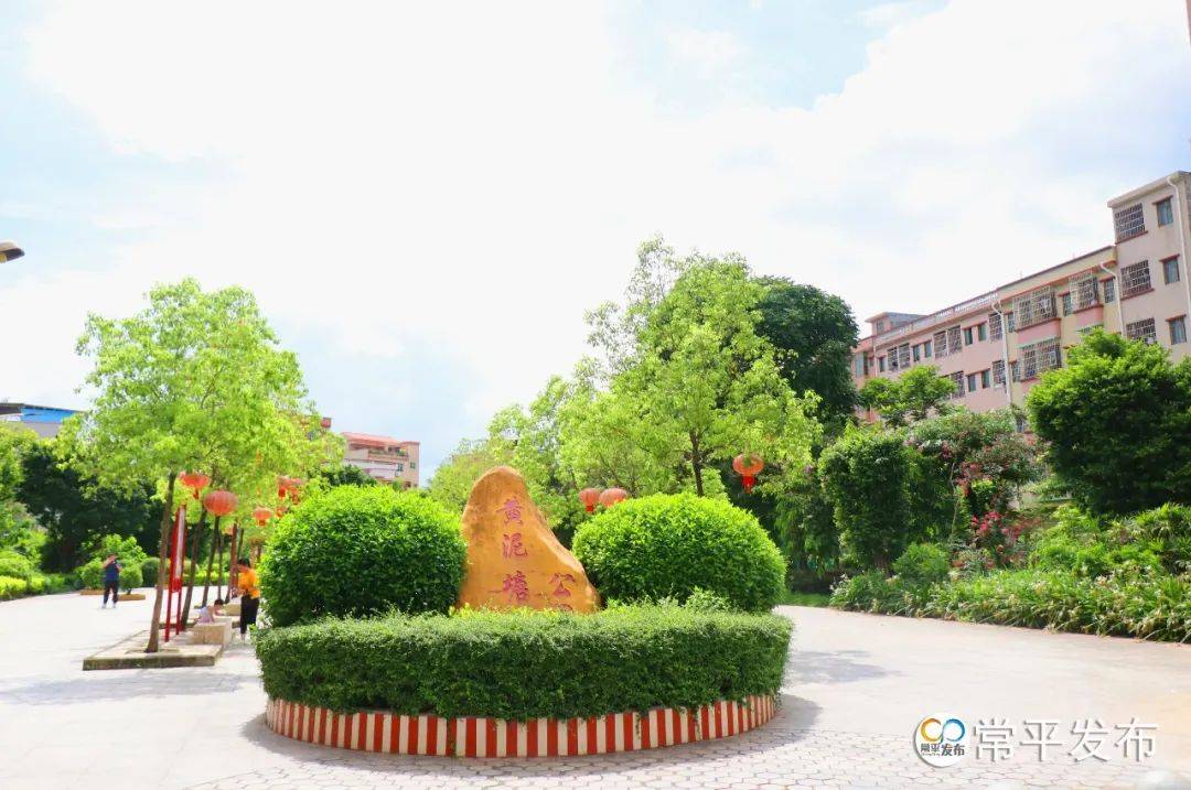 助力乡村振兴,东莞证券到黄泥塘村开展帮扶慰问活动_发展_改造_等项目