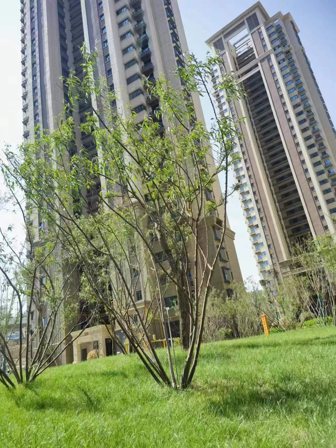 兰州恒大未来城丨阔景高层,畅享惬意城市生活_采光_空间_人生
